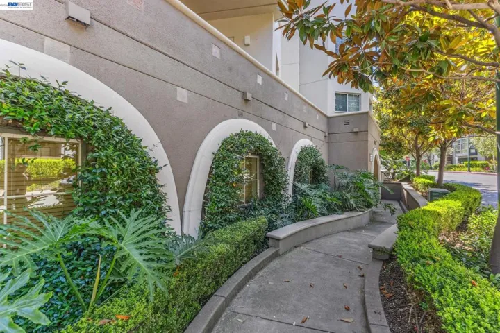 1315 Alma Ave 211, Walnut Creek, California 94596