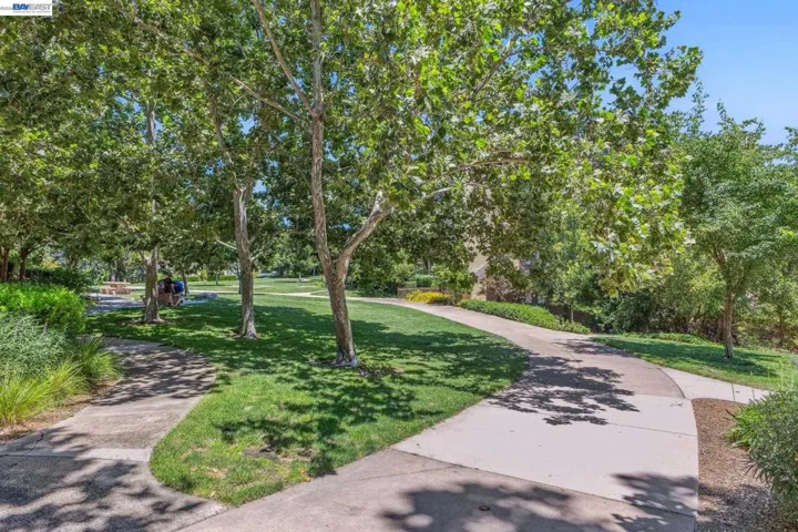 1315 Alma Ave 211, Walnut Creek, California 94596