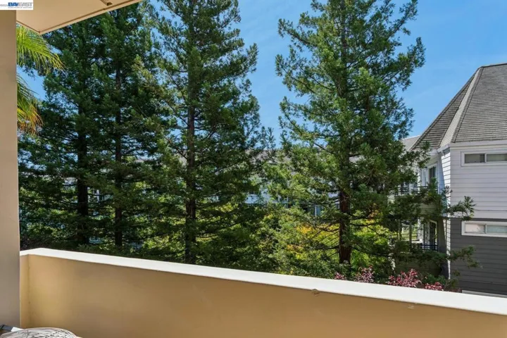 1315 Alma Ave 211, Walnut Creek, California 94596
