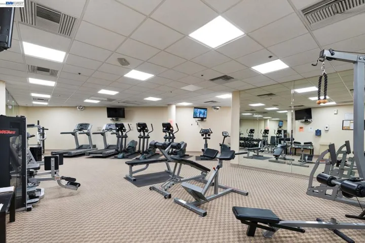 1315 Alma Ave 211, Walnut Creek, California 94596
