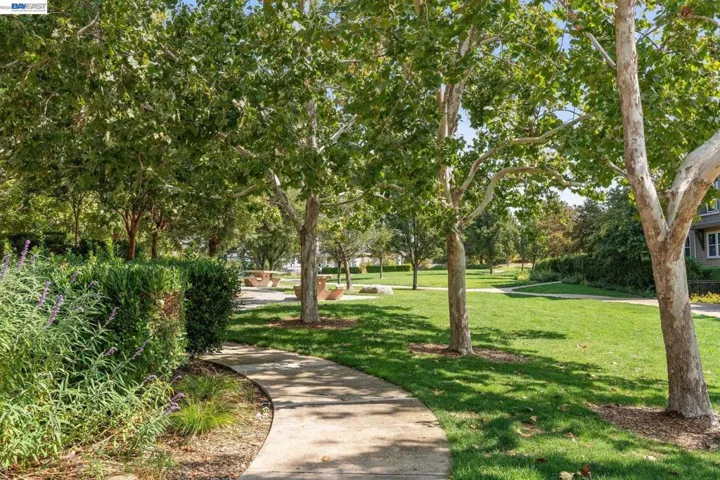 1315 Alma Ave 211, Walnut Creek, California 94596