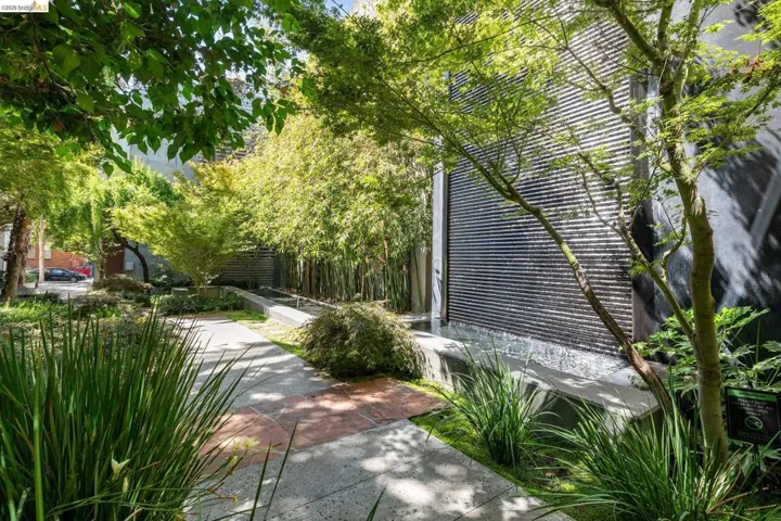 Lush landscaping with a striking water feature, featuring a textured wall and basin