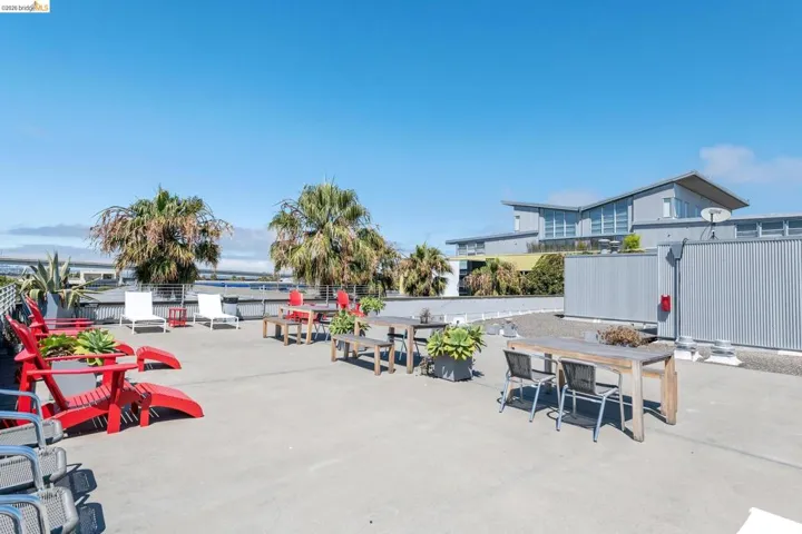 Expansive rooftop patio featuring a concrete surface, multiple seating areas, and mature palm trees