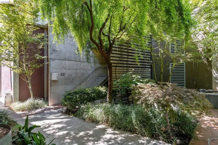 Landscaped courtyard featuring mature trees providing ample shade and dappled sunlight