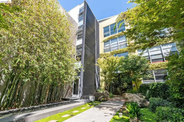 Modern building exterior featuring a vertical bamboo garden, reflecting water feature, stone pathway with grass accents, mature greenery, and multi-pane windows