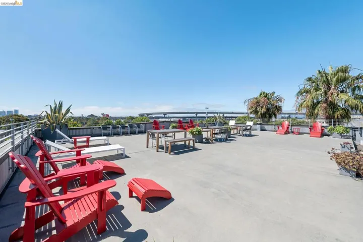 Expansive rooftop terrace featuring a concrete surface, metal railings, and integrated planter boxes with mature palm trees