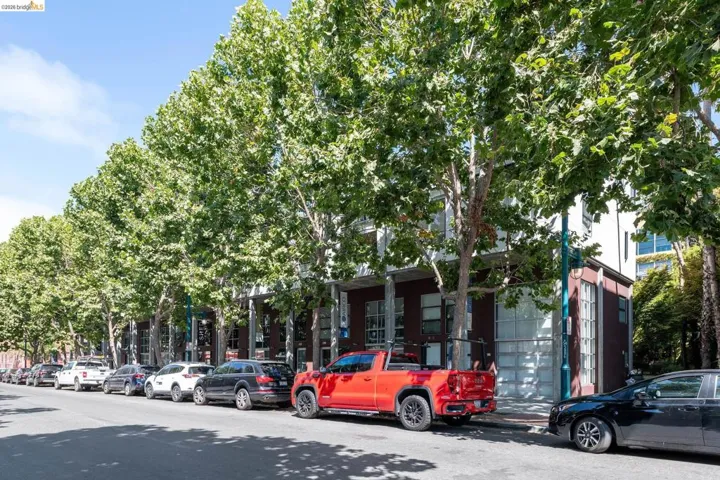 Tree-lined street with a consistent row of mature deciduous trees providing canopy