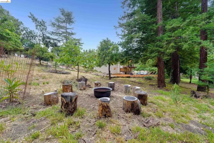 Outdoor gathering area featuring a central fire pit bowl surrounded by natural wood stump seating
