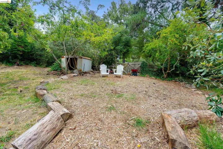 Expansive backyard featuring a wood chip ground cover, natural log border, mature trees, and a metal storage shed