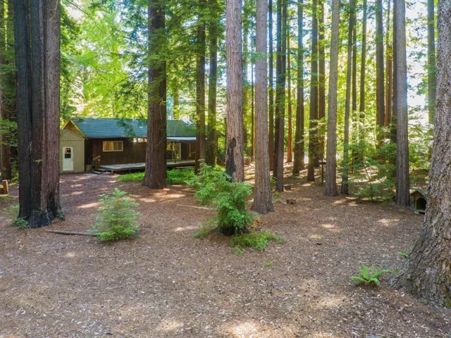 6790 Bonny Doon Road, Santa Cruz, California 95060