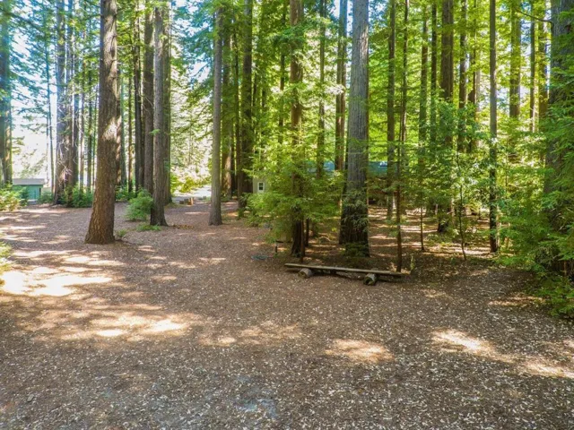 6790 Bonny Doon Road, Santa Cruz, California 95060