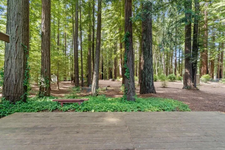 6790 Bonny Doon Road, Santa Cruz, California 95060