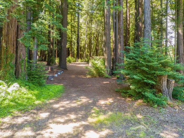6790 Bonny Doon Road, Santa Cruz, California 95060