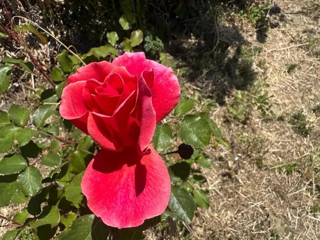 2 3rd Avenue, Davenport, California 95017