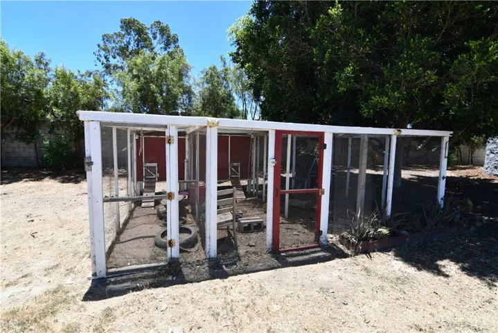 Chicken coup