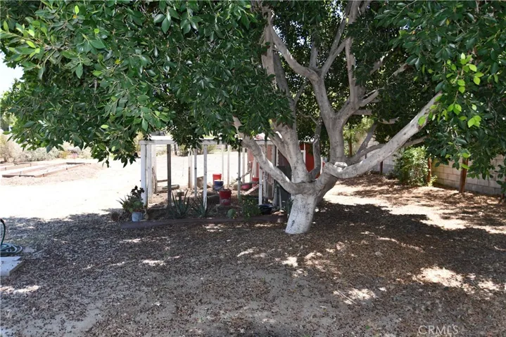 Additional Chicken Coup View