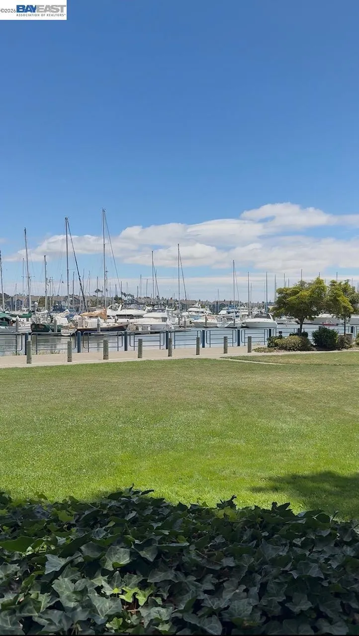 walking, boating, relaxing view