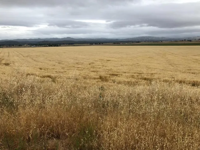 50325 Paulsen Road, Lockwood, California 93932
