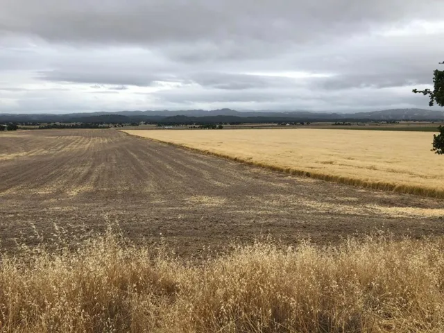 50325 Paulsen Road, Lockwood, California 93932