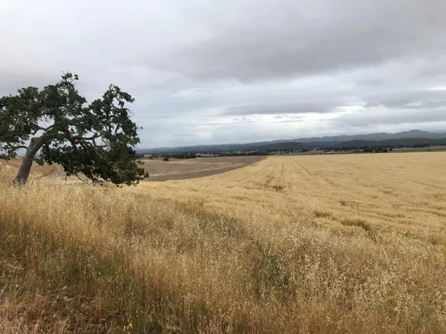 50325 Paulsen Road, Lockwood, California 93932