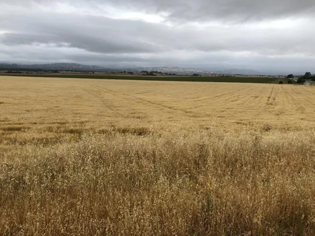 50325 Paulsen Road, Lockwood, California 93932