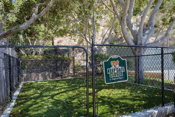 Dog Park
