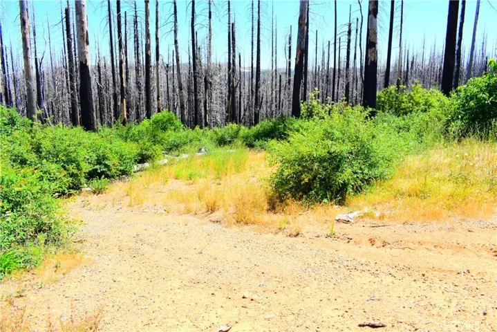 461 Milsap Bar, Berry Creek, California 95916