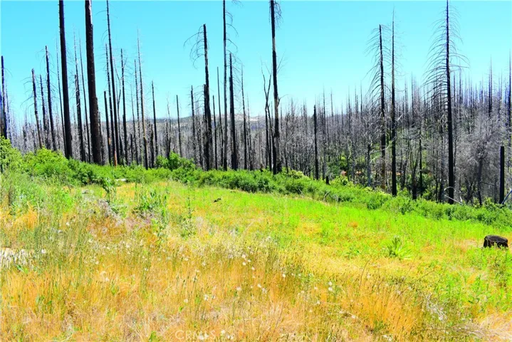 461 Milsap Bar, Berry Creek, California 95916