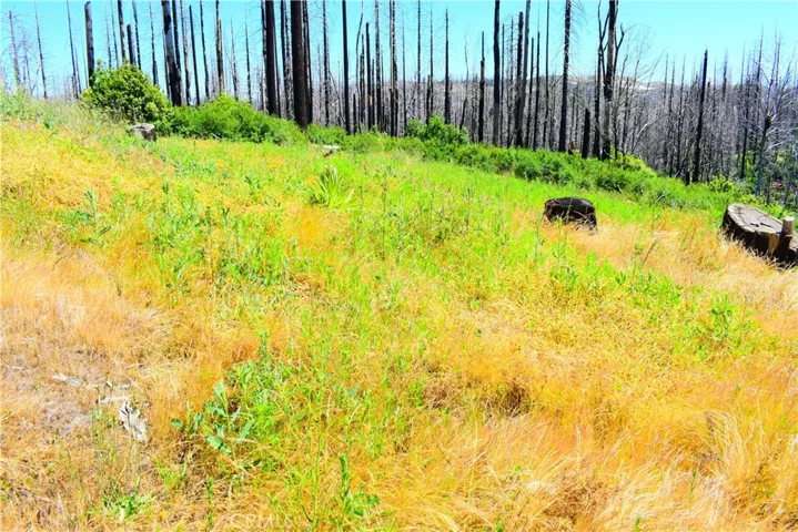 461 Milsap Bar, Berry Creek, California 95916