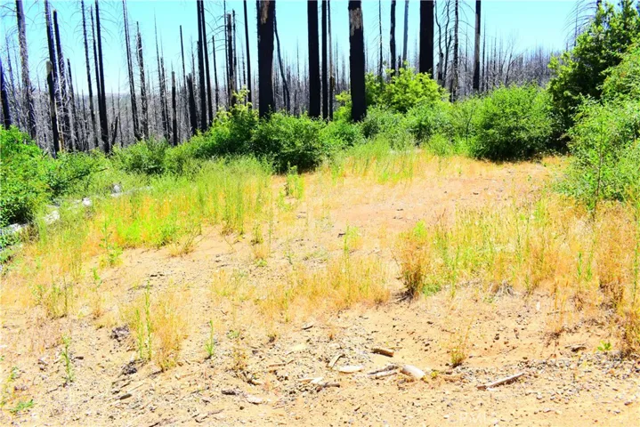 461 Milsap Bar, Berry Creek, California 95916