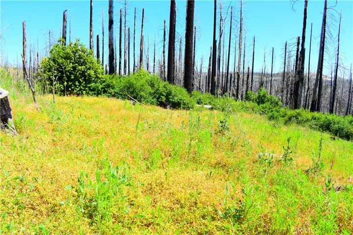 461 Milsap Bar, Berry Creek, California 95916
