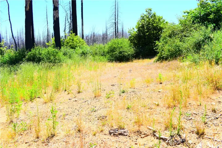 461 Milsap Bar, Berry Creek, California 95916