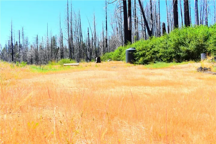 461 Milsap Bar, Berry Creek, California 95916