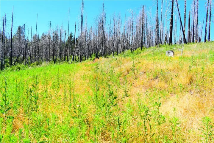 461 Milsap Bar, Berry Creek, California 95916