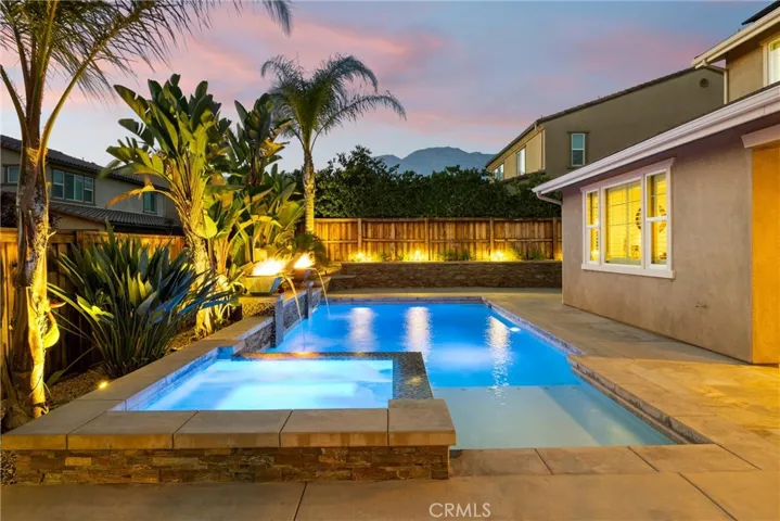 Landscape lighting throught the backyard.