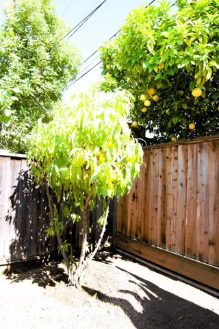 1714 Lobelia Lane, San Jose, California 95124