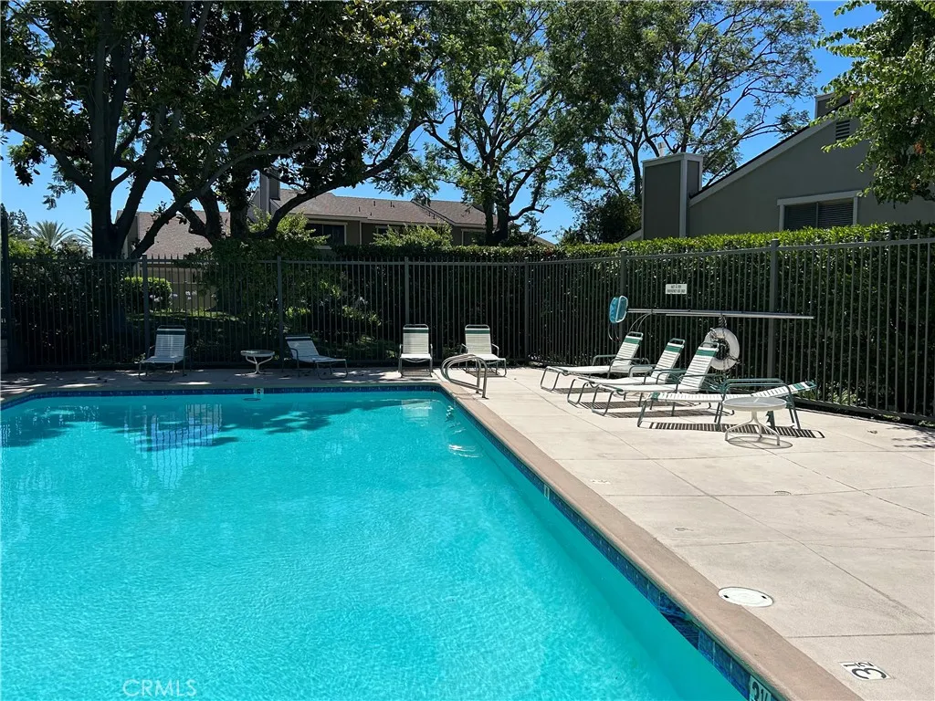 Pool and lounging area