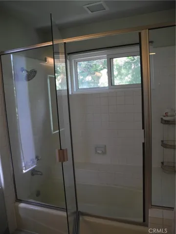 Master bath tub and shower