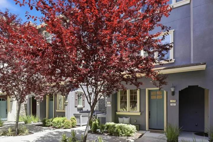 145 Ivory Palm Terrace, Sunnyvale, California 94086