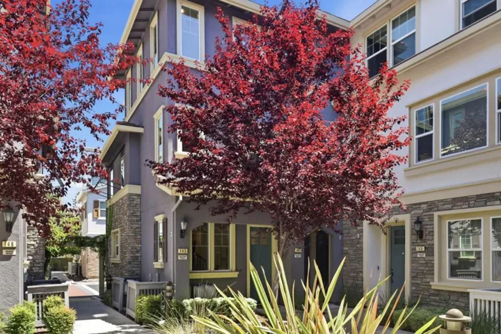 145 Ivory Palm Terrace, Sunnyvale, California 94086