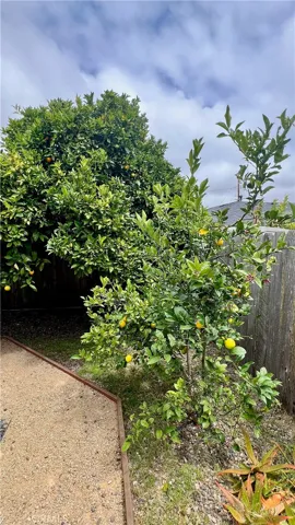 171 Alder Street, Arroyo Grande, California 93420