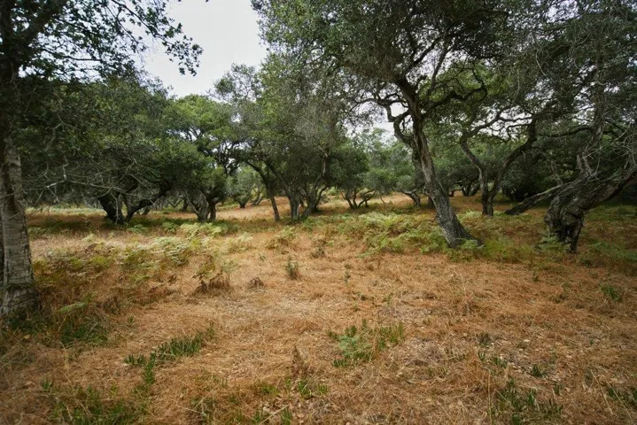 0 Valle Pacifico, Salinas, California 93907
