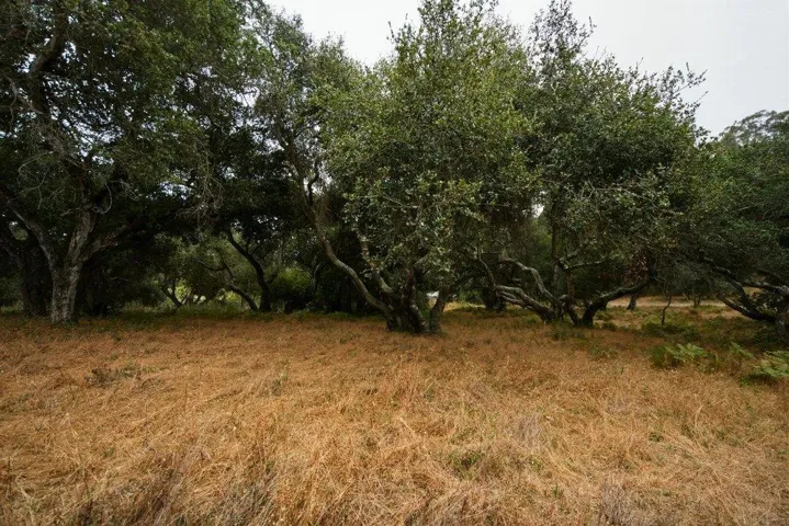 0 Valle Pacifico, Salinas, California 93907