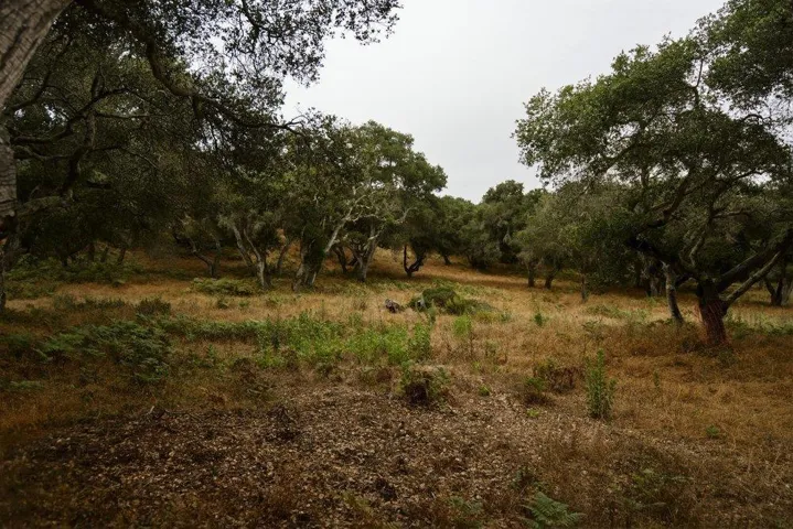0 Valle Pacifico, Salinas, California 93907