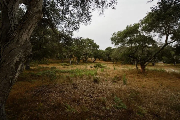 0 Valle Pacifico, Salinas, California 93907