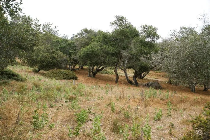 0 Valle Pacifico, Salinas, California 93907