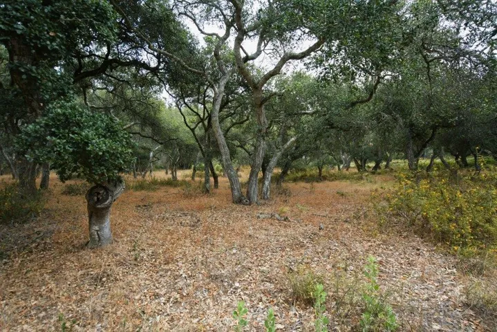 0 Valle Pacifico, Salinas, California 93907