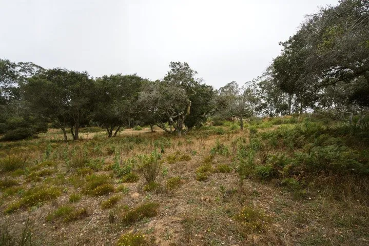 0 Valle Pacifico, Salinas, California 93907