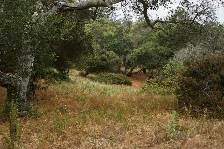 0 Valle Pacifico, Salinas, California 93907