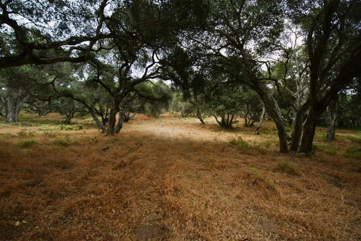 0 Valle Pacifico, Salinas, California 93907